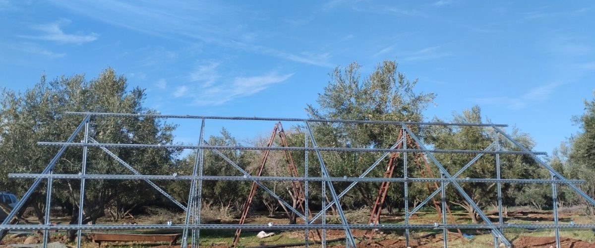 WhatsApp Image 2025-03-11 at 10.45.45 (2)