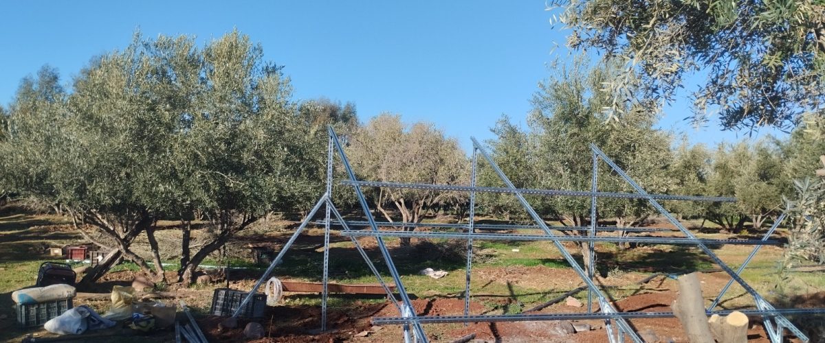 WhatsApp Image 2025-03-11 at 10.45.45